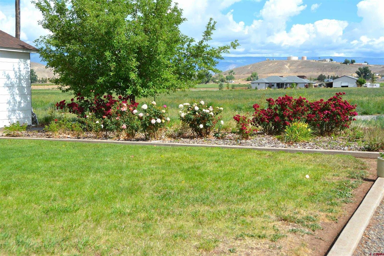 8801 2100 Road, Austin, CO 81410