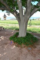 8801 2100 Road, Austin, CO 81410