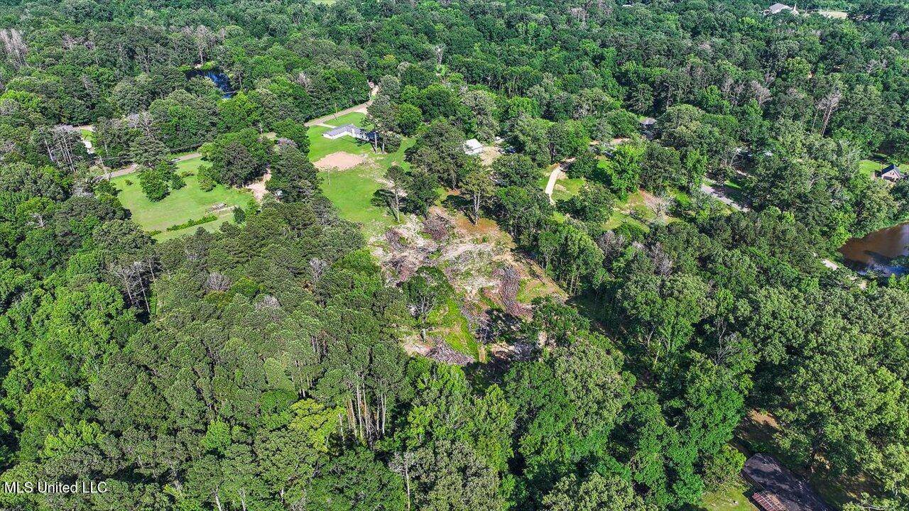 12661 Springridge Road, Terry, MS 39170