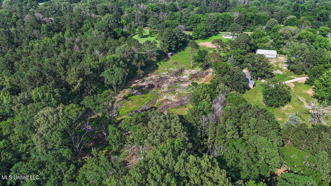 12661 Springridge Road, Terry, MS 39170