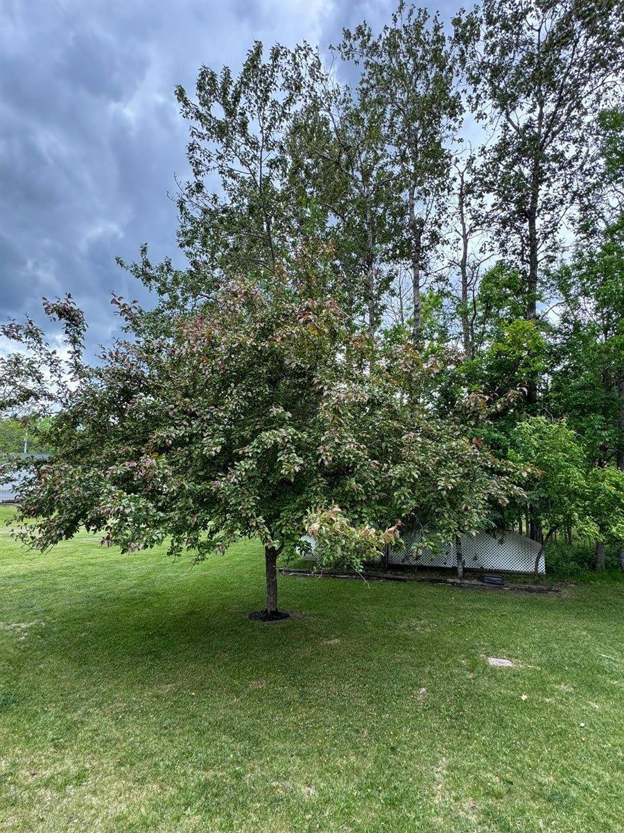 1616 4th Avenue, International Falls, MN 56649