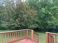 1616 4th Avenue, International Falls, MN 56649