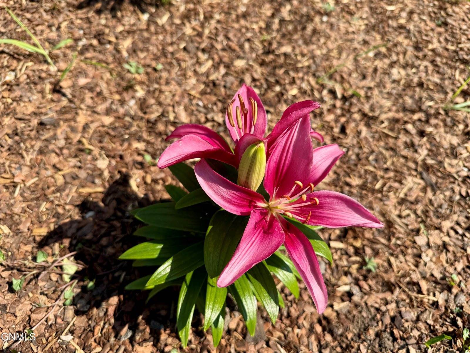 1324 Main Street, Williston, ND 58801