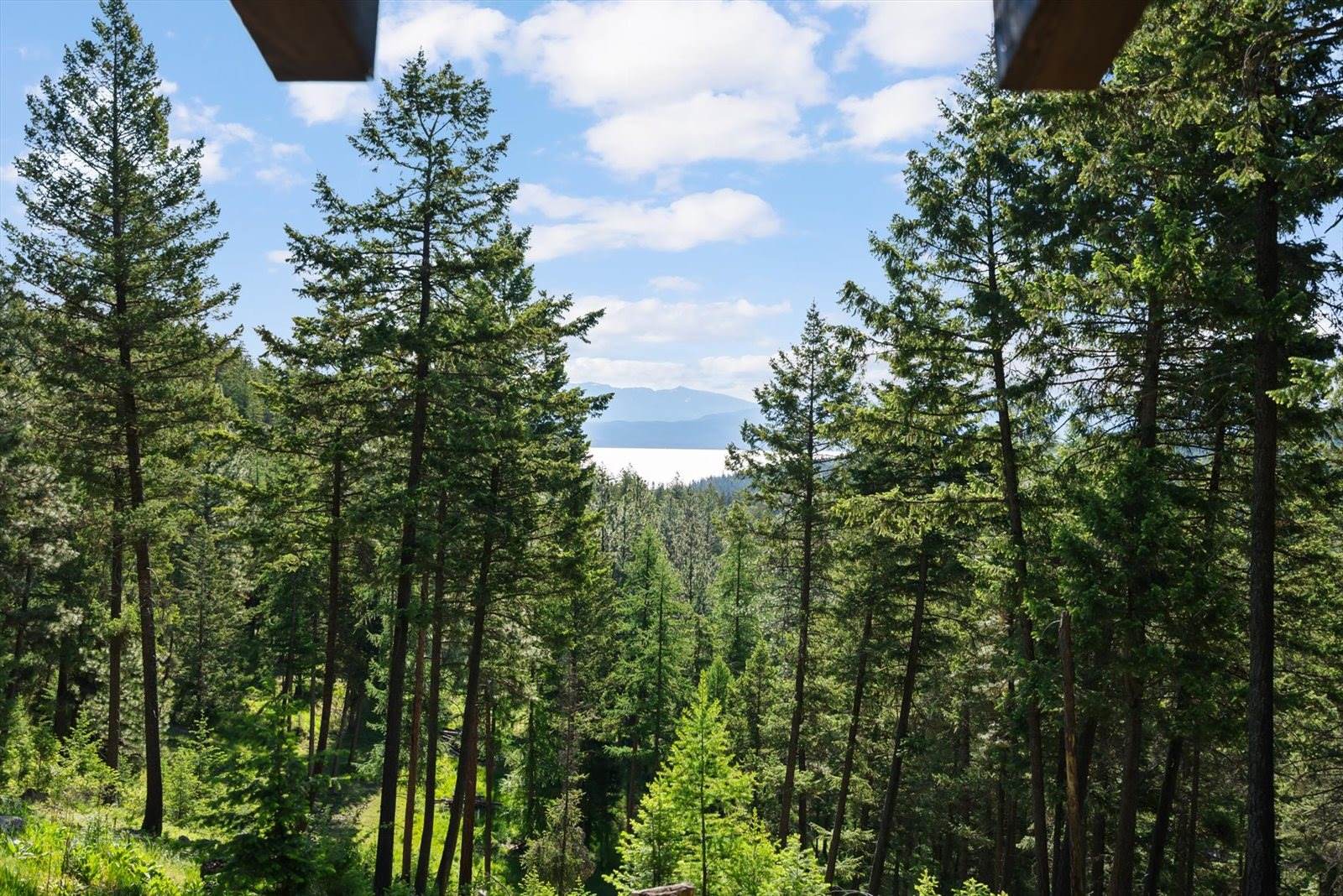 205 Muley Road, Lakeside, MT 59922