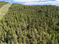205 Muley Road, Lakeside, MT 59922