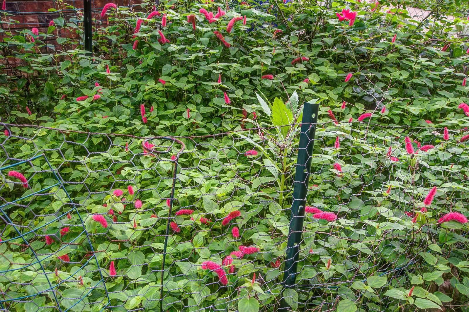 2903 Shadow Lane, North Charleston, SC 29406