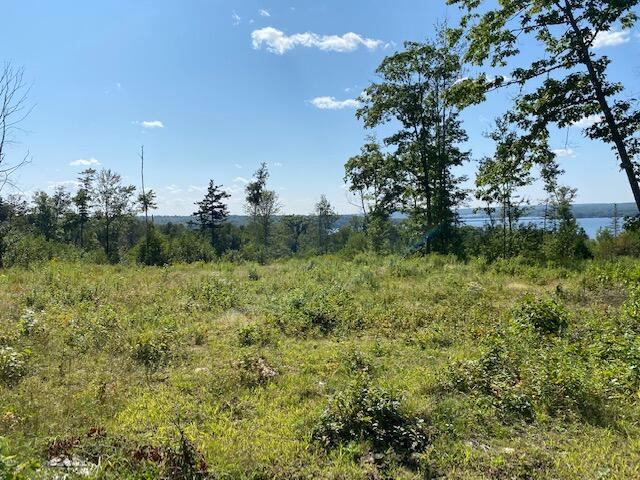 Lot #7 Cape Jellison Road, Stockton Springs, ME 04981