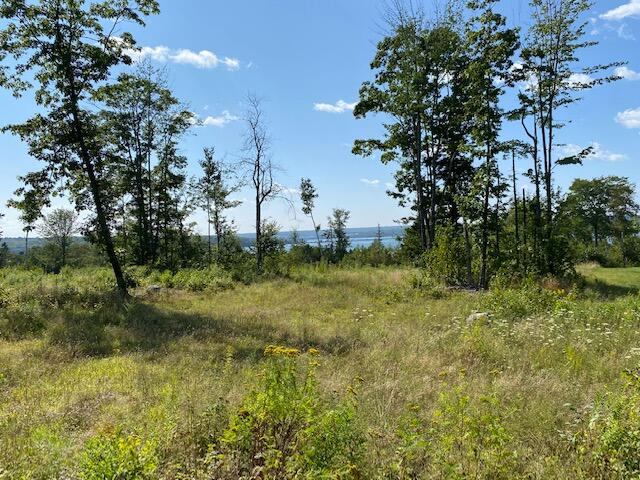 Lot #7 Cape Jellison Road, Stockton Springs, ME 04981