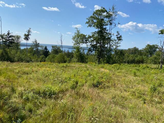 Lot #7 Cape Jellison Road, Stockton Springs, ME 04981