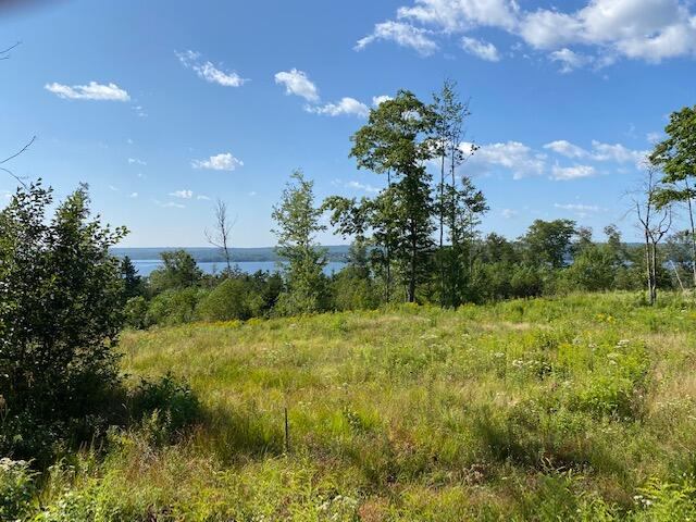Lot #7 Cape Jellison Road, Stockton Springs, ME 04981