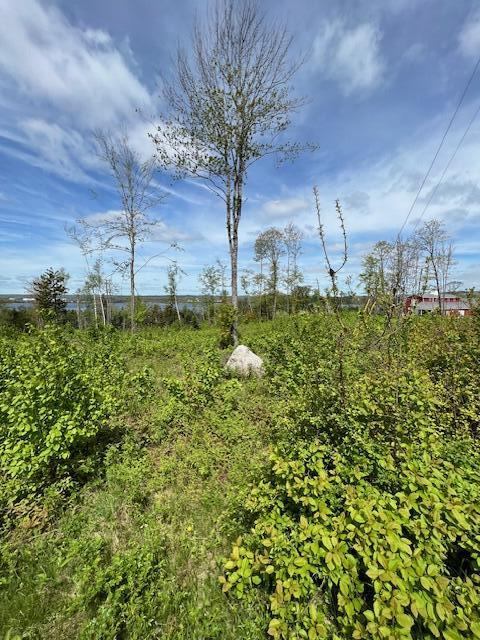 Lot #7 Cape Jellison Road, Stockton Springs, ME 04981