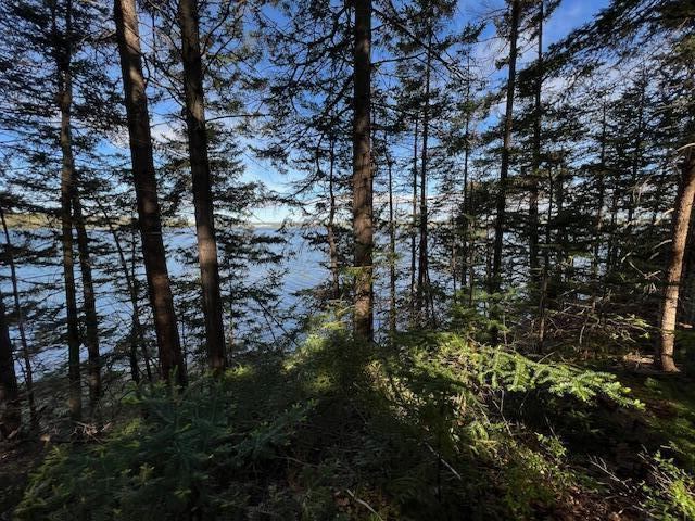 Lot #7 Cape Jellison Road, Stockton Springs, ME 04981