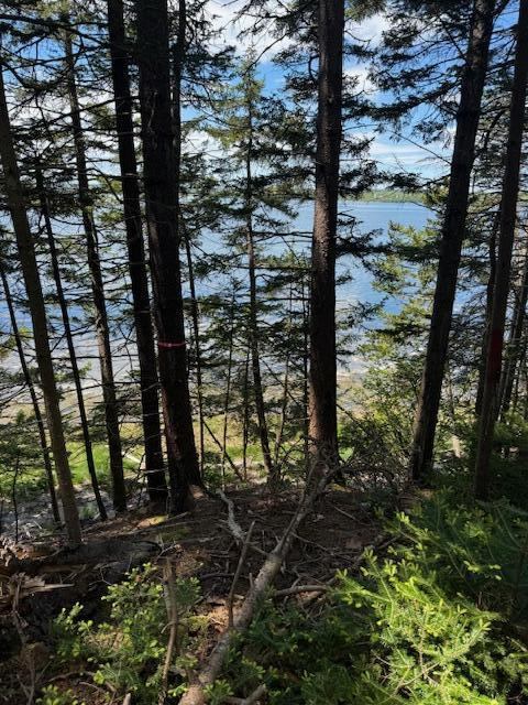 Lot #7 Cape Jellison Road, Stockton Springs, ME 04981