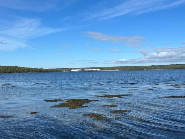 Lot #7 Cape Jellison Road, Stockton Springs, ME 04981