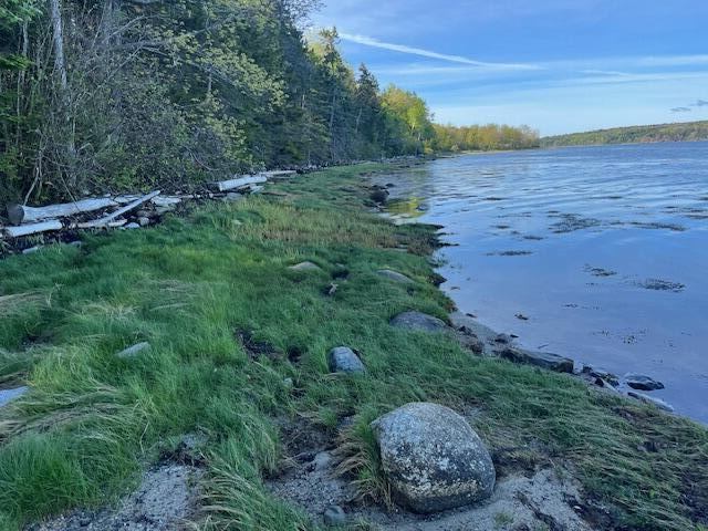 Lot #7 Cape Jellison Road, Stockton Springs, ME 04981