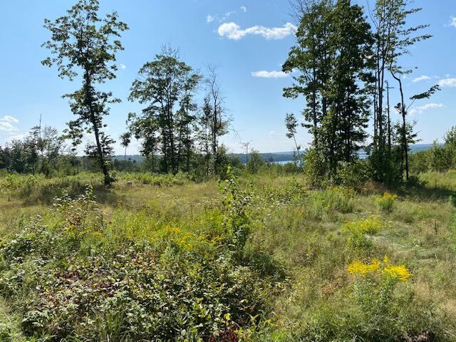 Lot #7 Cape Jellison Road, Stockton Springs, ME 04981
