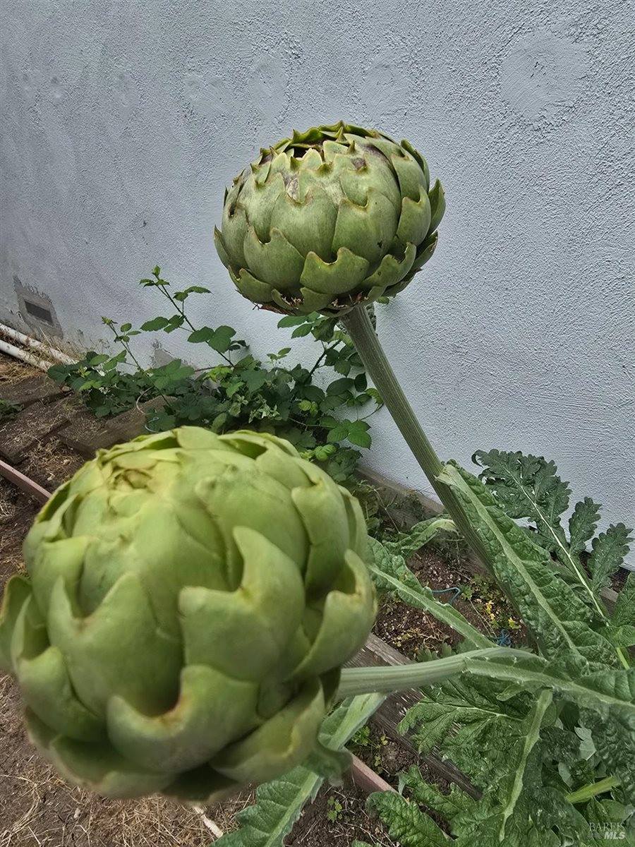 1736 Ensenada Court, Santa Rosa, CA 95401