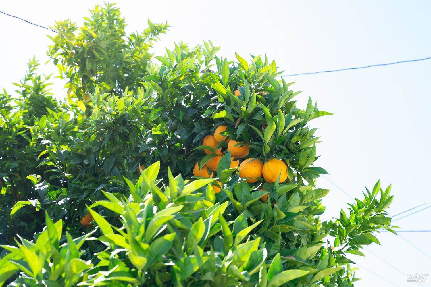 1736 Ensenada Court, Santa Rosa, CA 95401