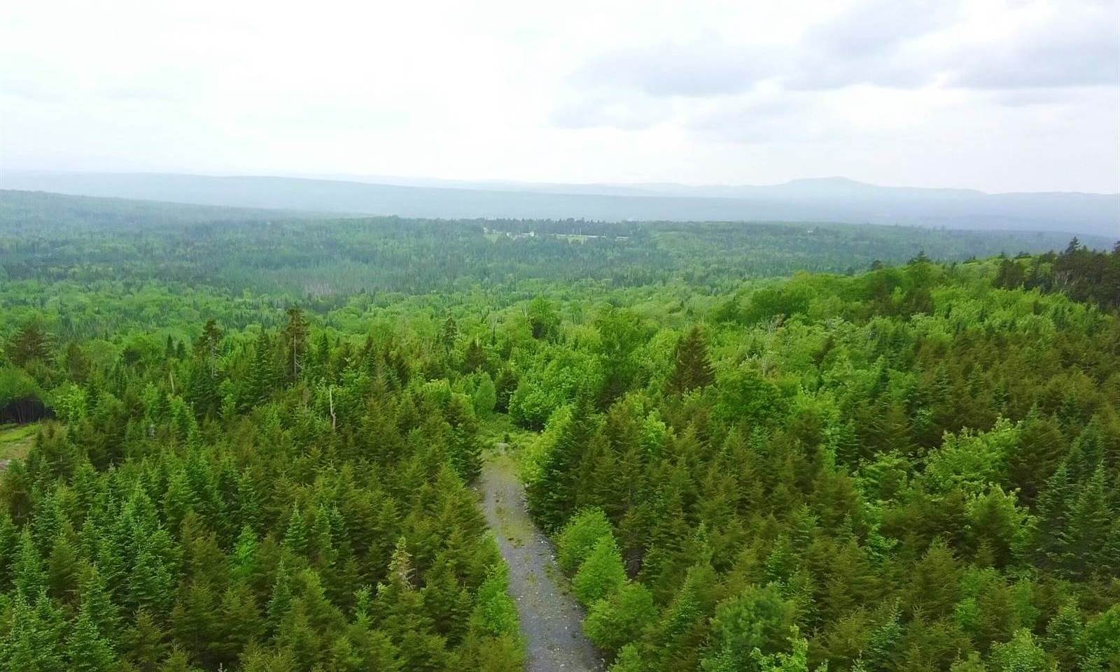 14 Alpine Ridge, Greenville, ME 04441