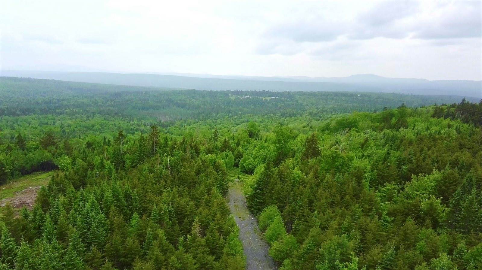 14 Alpine Ridge, Greenville, ME 04441