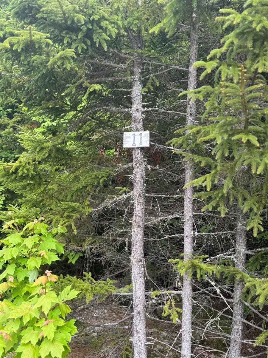 14 Alpine Ridge, Greenville, ME 04441