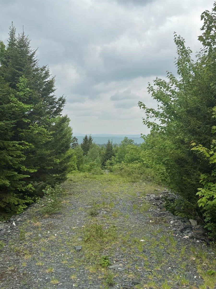 14 Alpine Ridge, Greenville, ME 04441