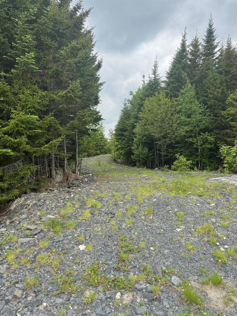 14 Alpine Ridge, Greenville, ME 04441