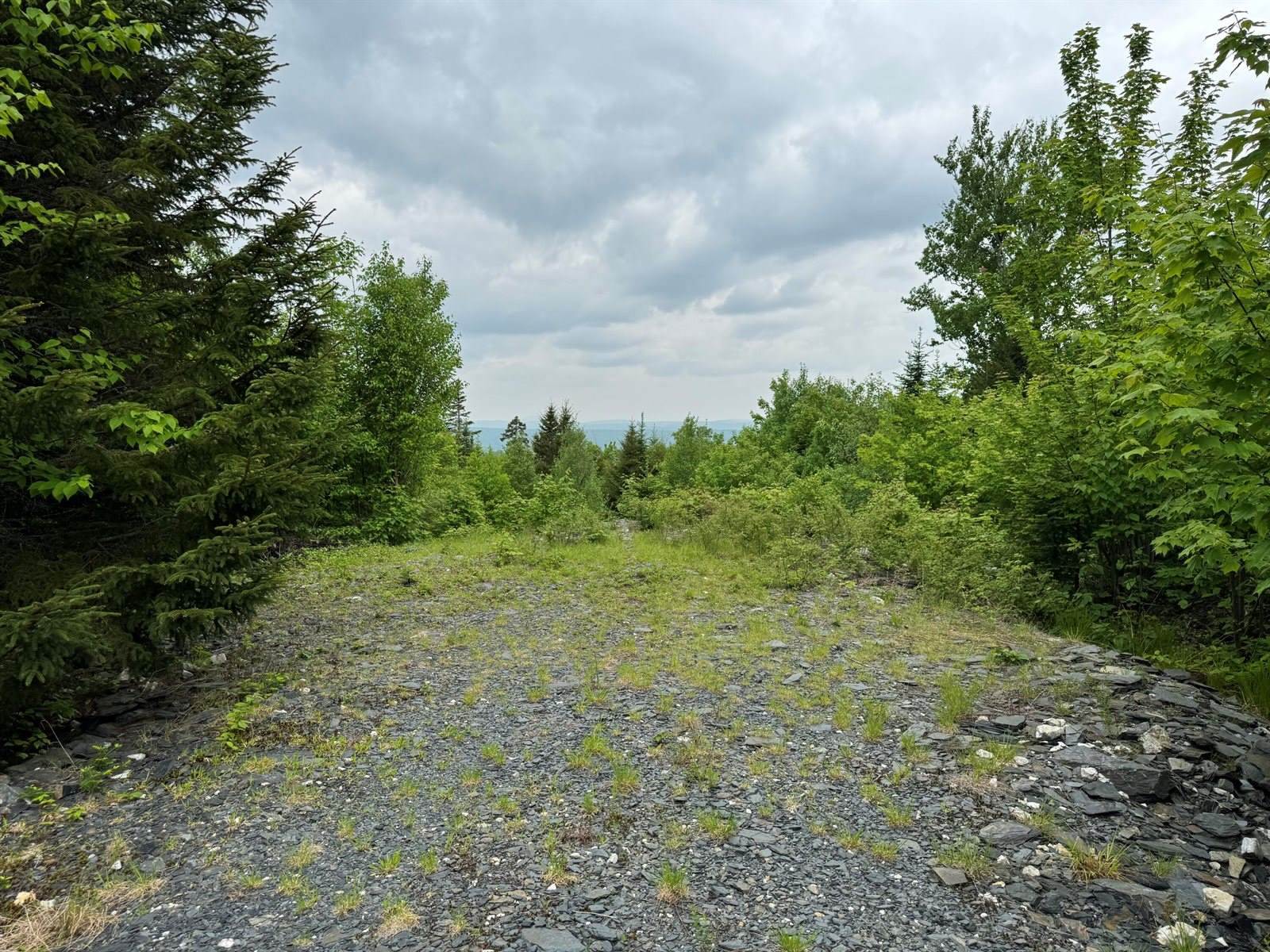 14 Alpine Ridge, Greenville, ME 04441