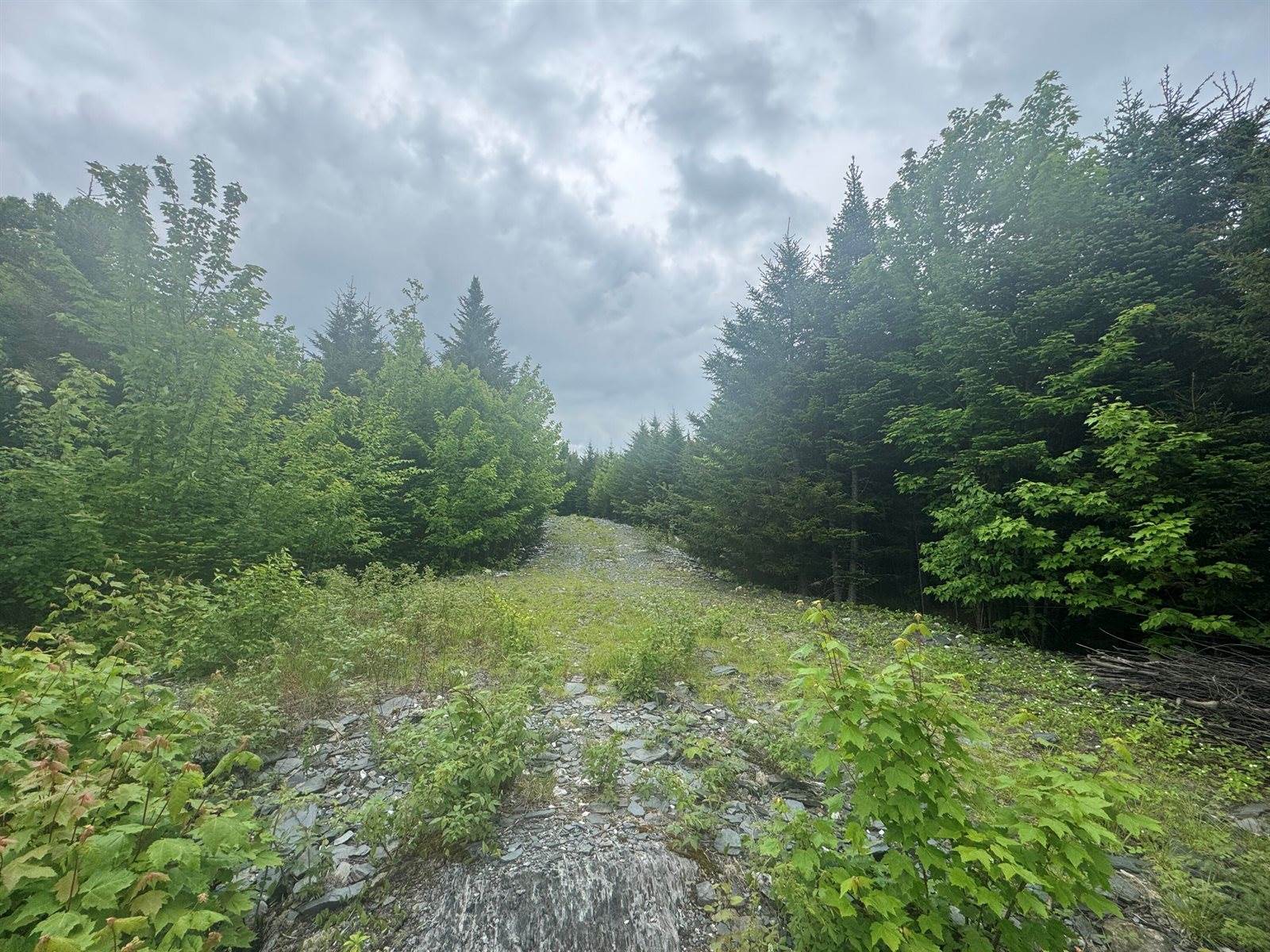 14 Alpine Ridge, Greenville, ME 04441