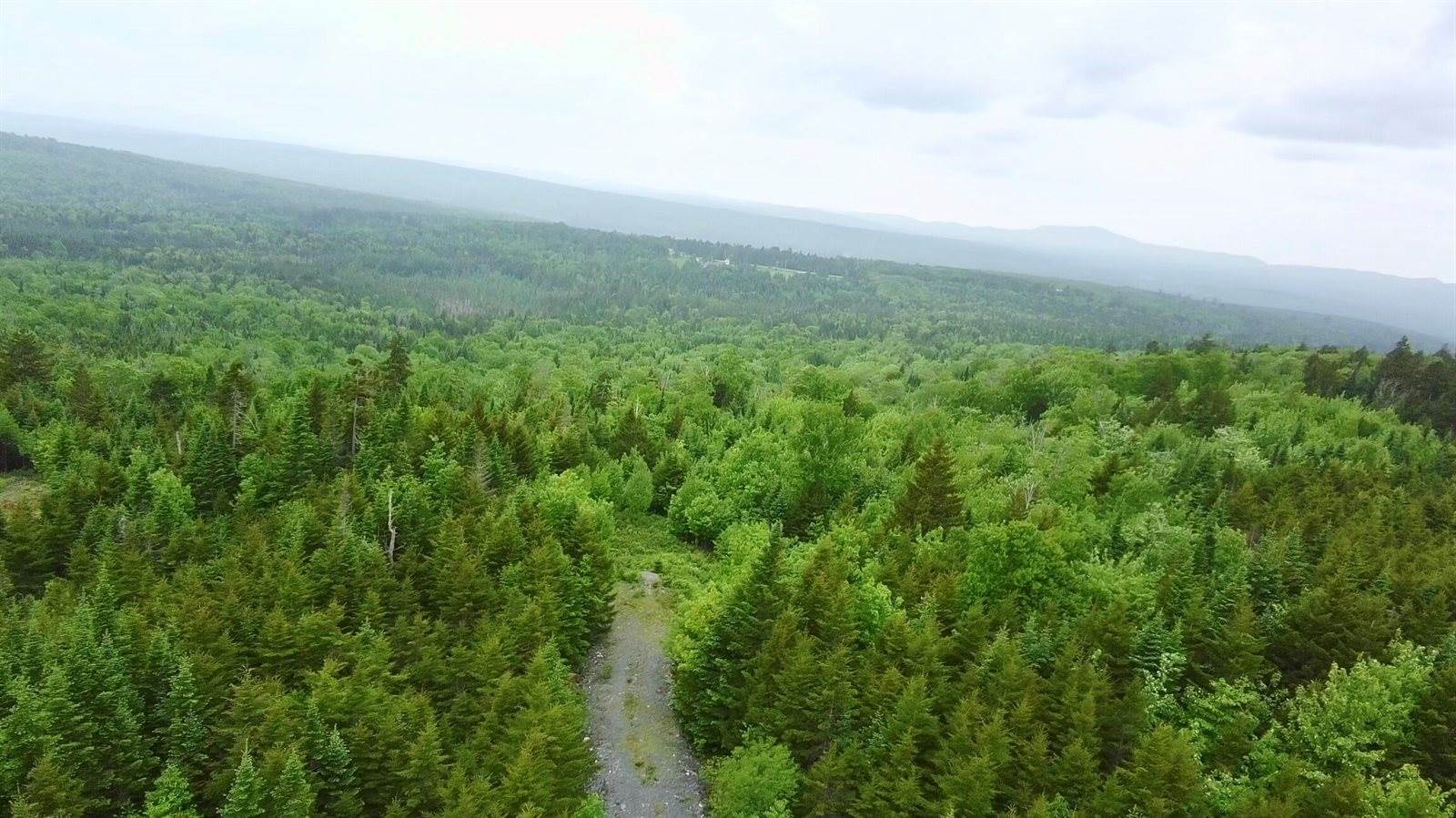 14 Alpine Ridge, Greenville, ME 04441