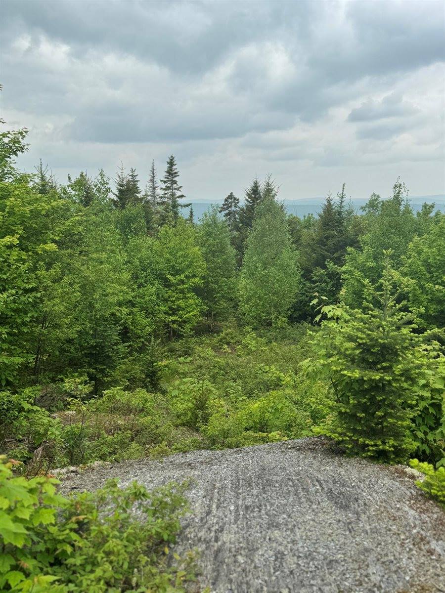 14 Alpine Ridge, Greenville, ME 04441