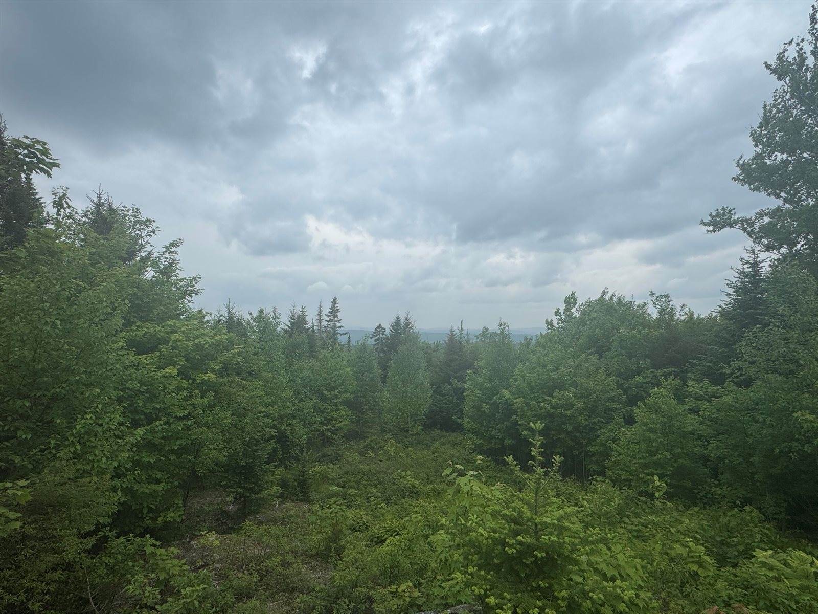 14 Alpine Ridge, Greenville, ME 04441