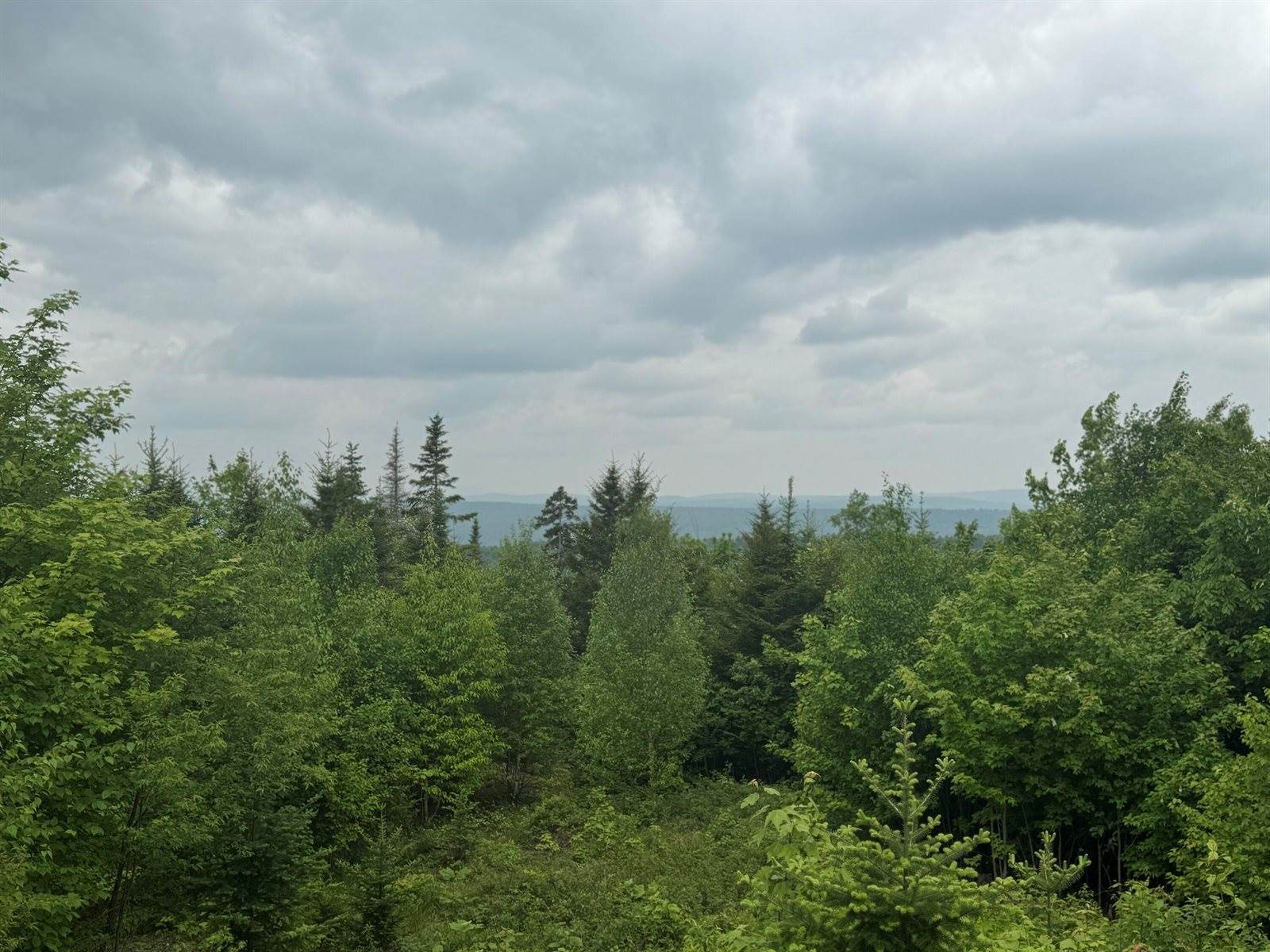 14 Alpine Ridge, Greenville, ME 04441