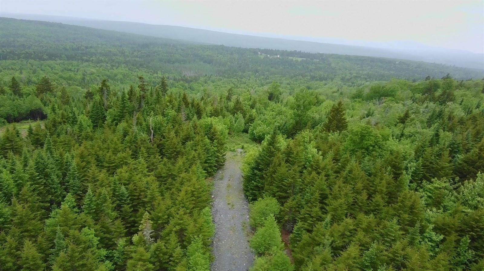 14 Alpine Ridge, Greenville, ME 04441