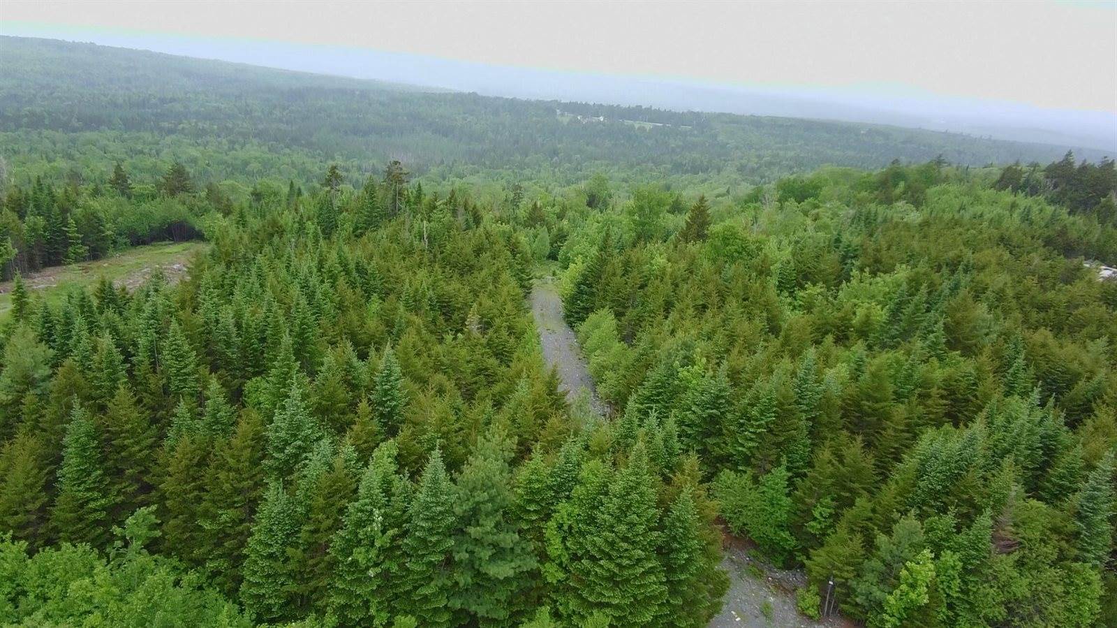 14 Alpine Ridge, Greenville, ME 04441