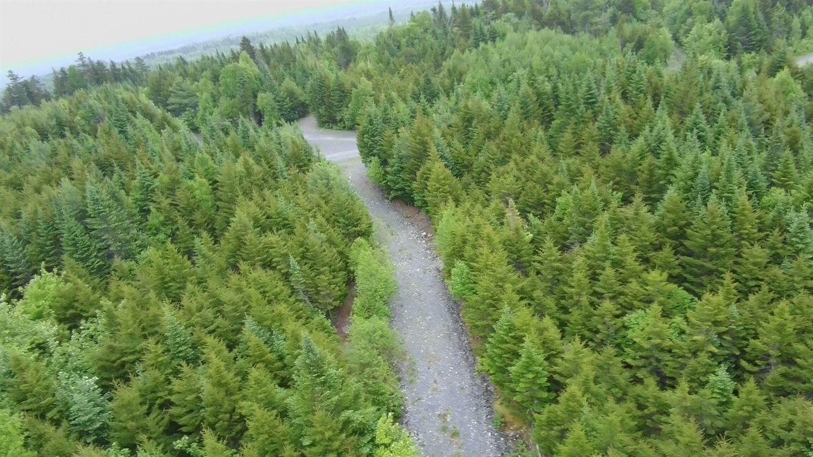 14 Alpine Ridge, Greenville, ME 04441