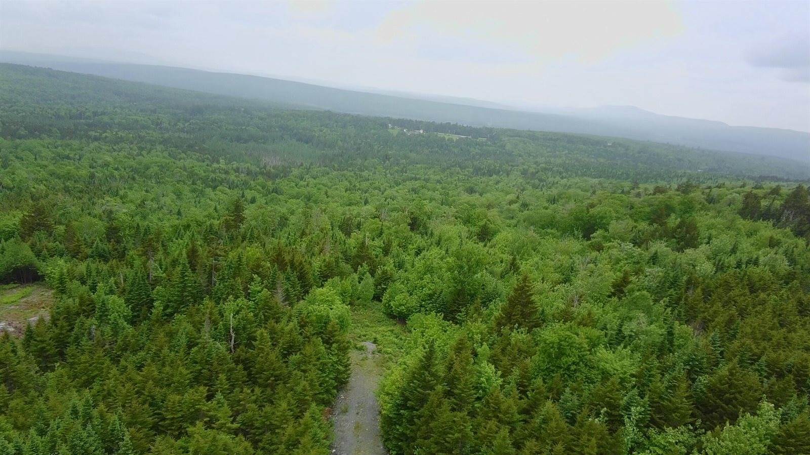 14 Alpine Ridge, Greenville, ME 04441