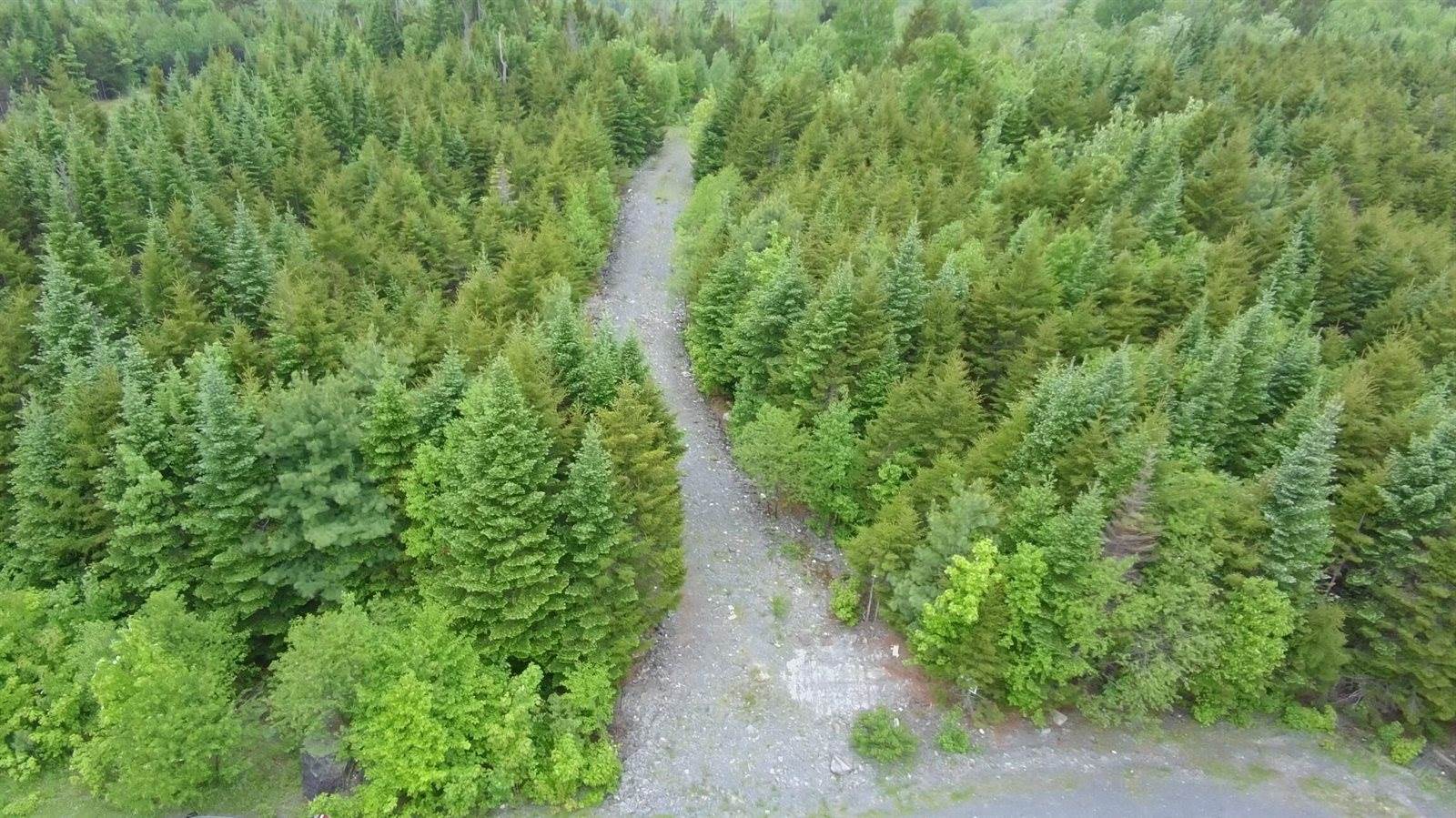 14 Alpine Ridge, Greenville, ME 04441