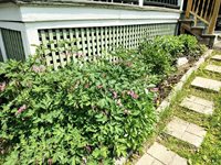 47 High Street, Houlton, ME 04730