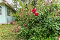 325 West Chestnut Street, Junction City, KS 66441