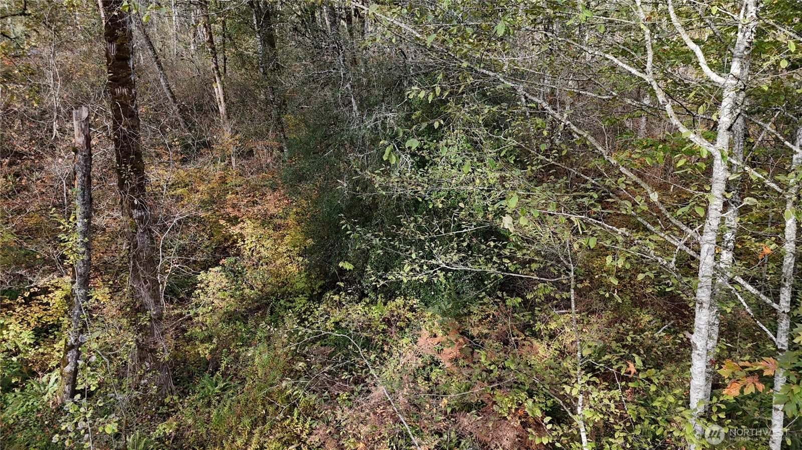 1 West Lake Samish Drive, Bellingham, WA 98229