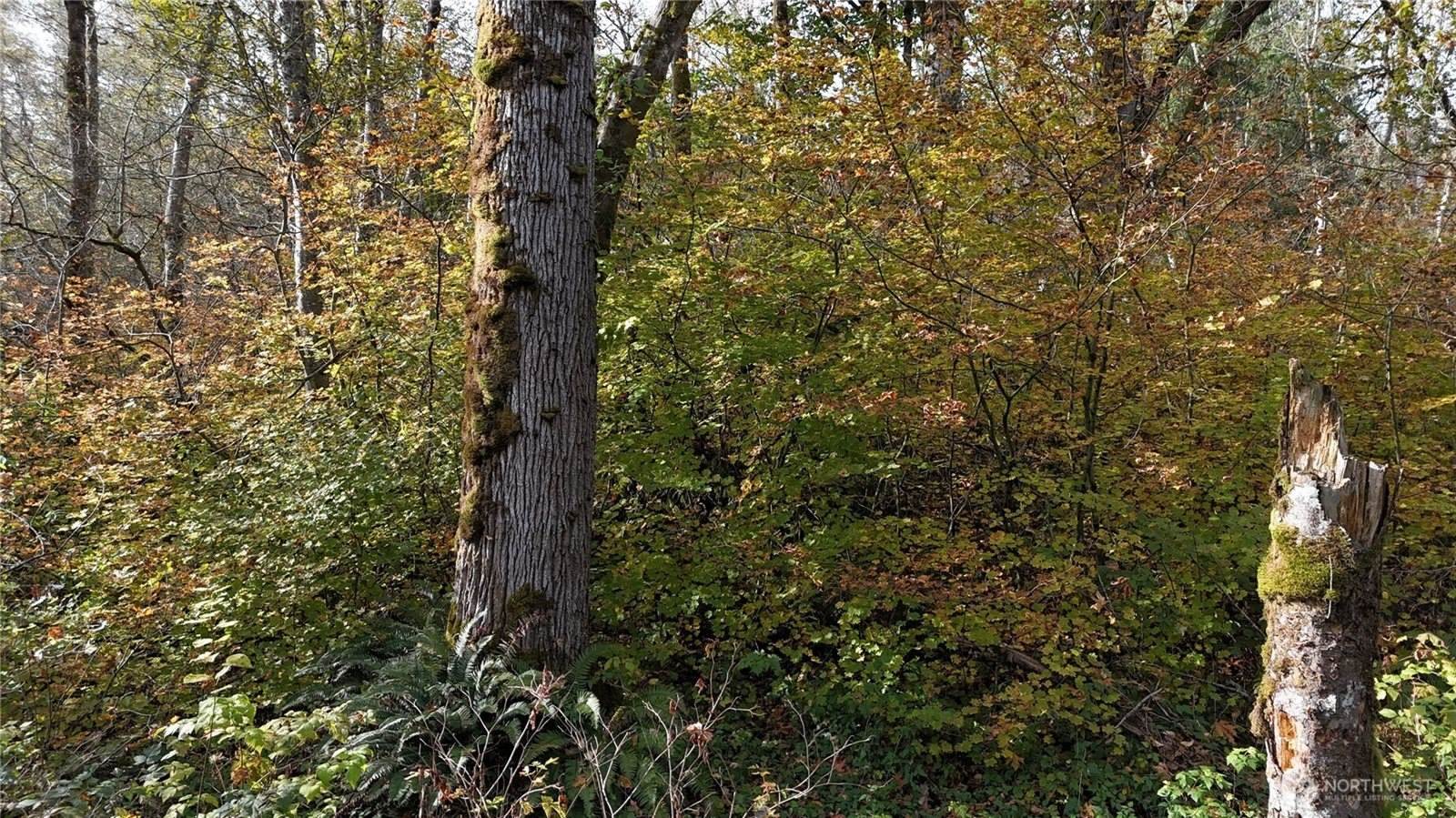 1 West Lake Samish Drive, Bellingham, WA 98229