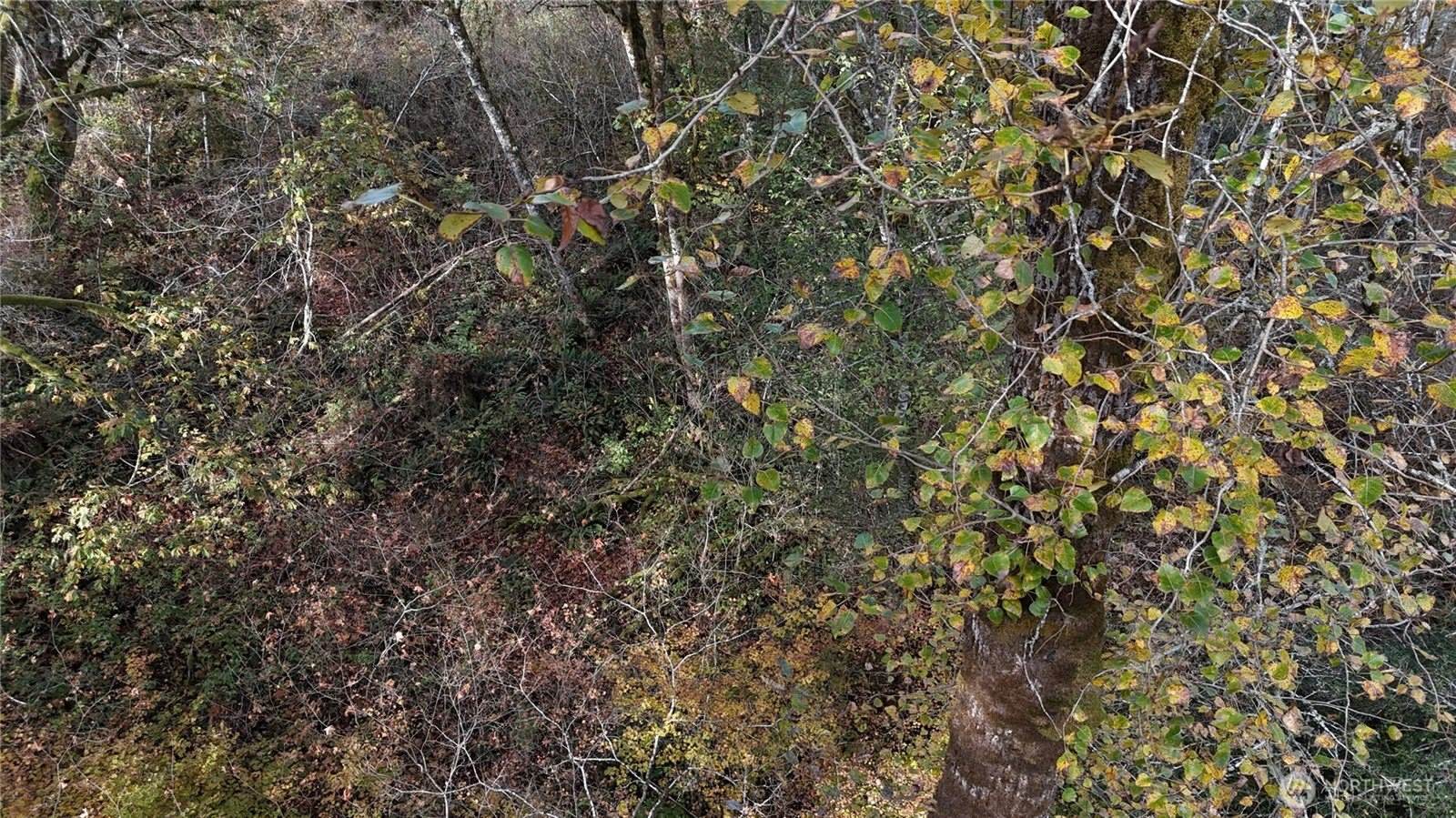 1 West Lake Samish Drive, Bellingham, WA 98229