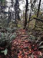 1 West Lake Samish Drive, Bellingham, WA 98229