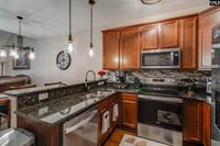 163 Tybo, Lexington, SC 29072