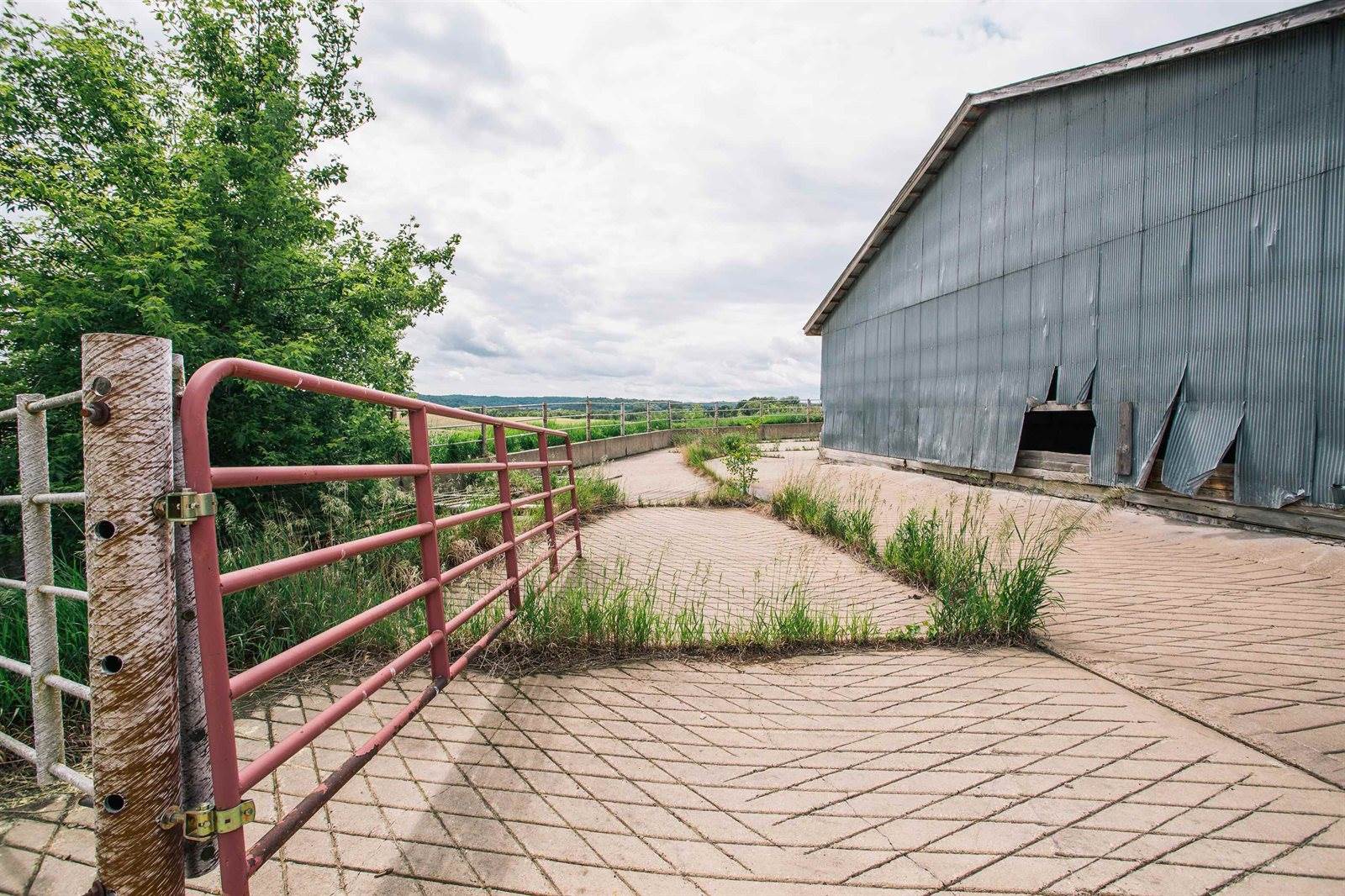 N9891 N Pole Grove Road, Alma Center, WI 54611