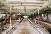 N9891 N Pole Grove Road, Alma Center, WI 54611