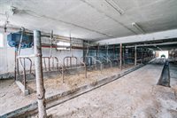 N9891 N Pole Grove Road, Alma Center, WI 54611