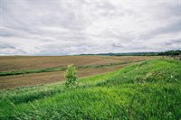 N9891 N Pole Grove Road, Alma Center, WI 54611