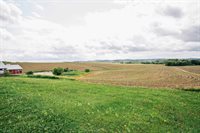 N9891 N Pole Grove Road, Alma Center, WI 54611